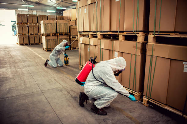 Best Local Pest Control Services  in West Liberty, IA