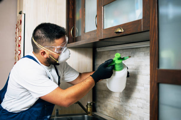 Pest Prevention Services in West Liberty, IA