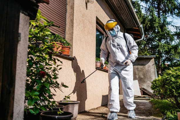 Best Bed Bug Extermination  in West Liberty, IA