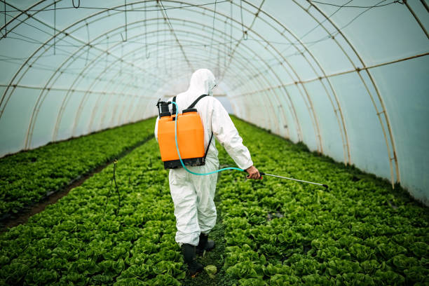 Best Affordable Pest Control Services  in West Liberty, IA