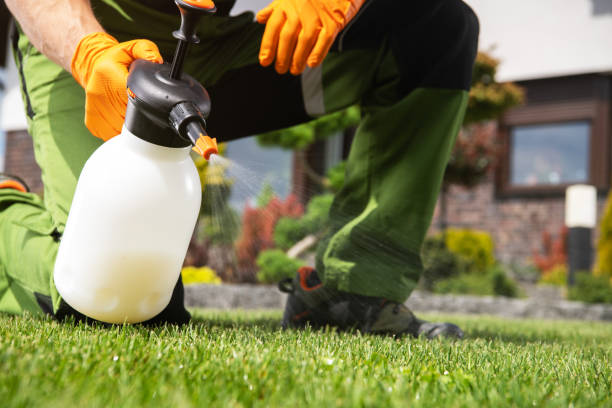Reliable West Liberty, IA Pest Control Solutions