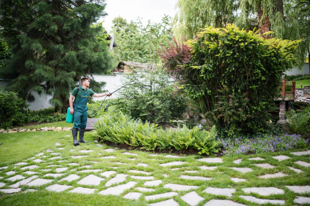 Best Pest Removal Services  in West Liberty, IA