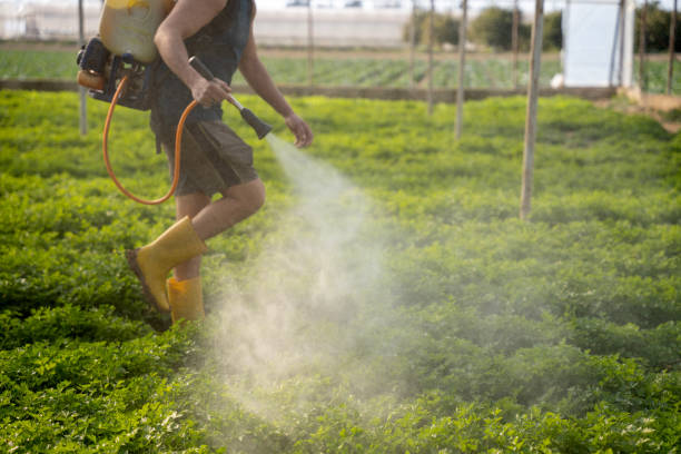 Best Pest Control Near Me  in West Liberty, IA