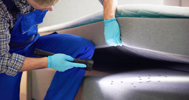 Best Pest Control Near Me  in West Liberty, IA