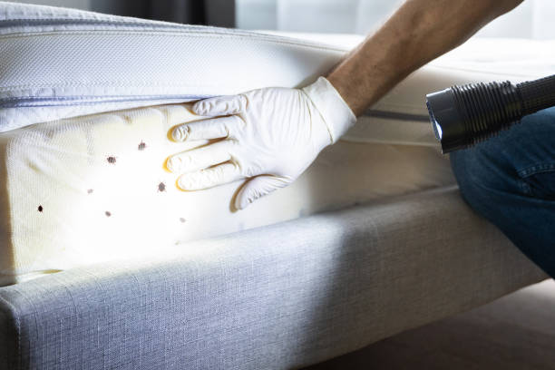 Best Emergency Pest Control  in West Liberty, IA