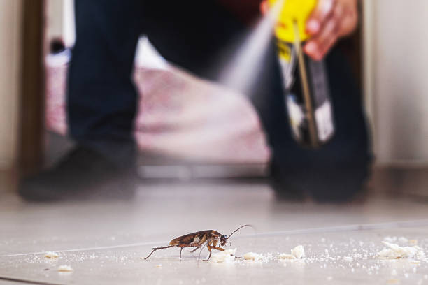 Best Commercial Pest Control Services  in West Liberty, IA