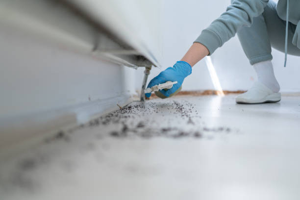Best Emergency Pest Control  in West Liberty, IA
